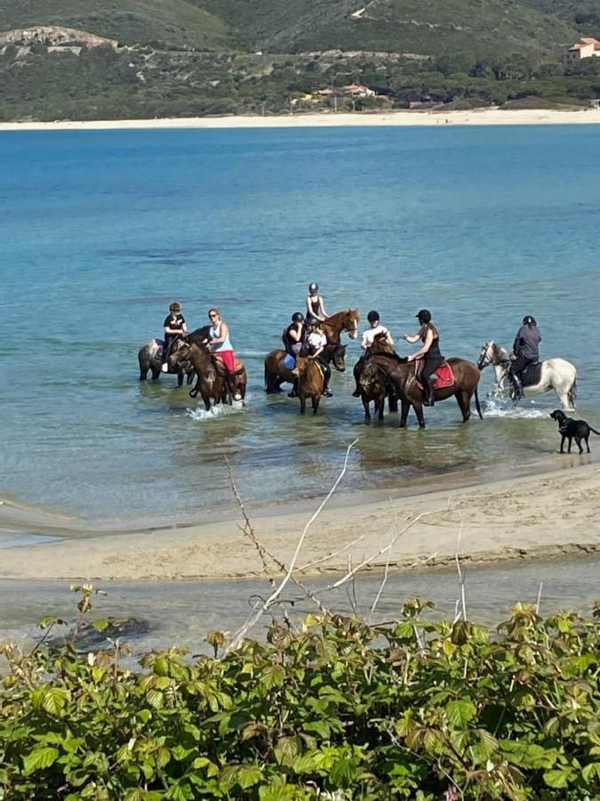Caselena , Un Havre De Paix En Balagne Ville-di-Paraso Zewnętrze zdjęcie