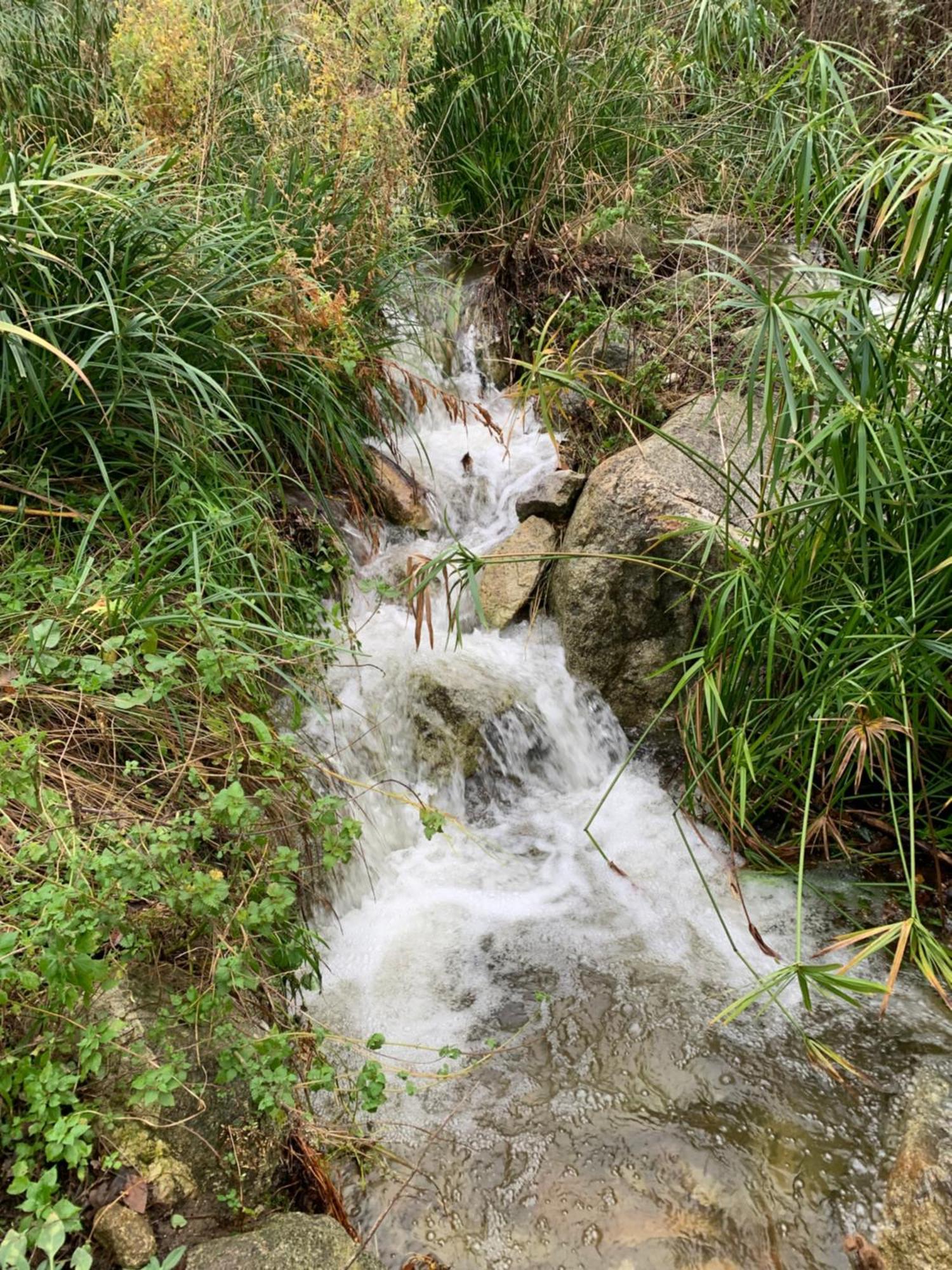 Caselena , Un Havre De Paix En Balagne Ville-di-Paraso Zewnętrze zdjęcie